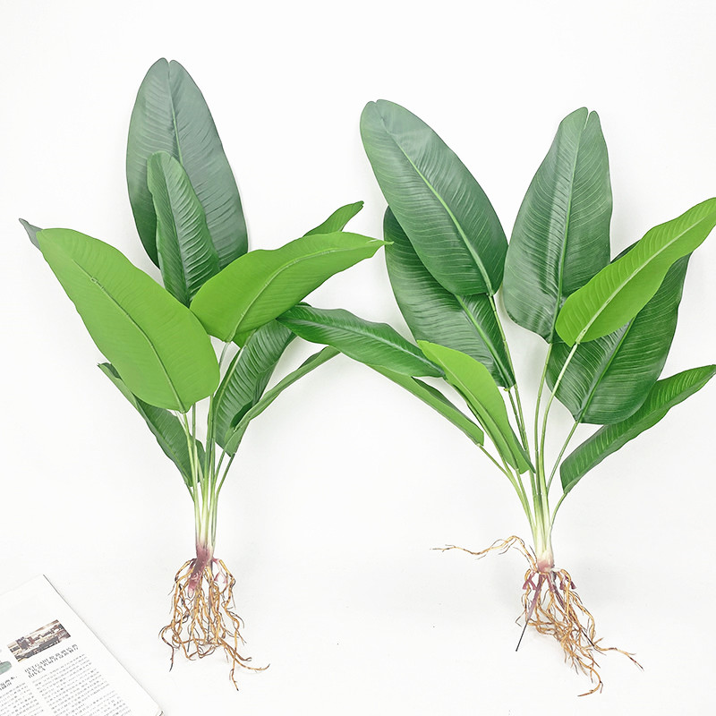 Fiddle Leaf Fig - Nhân Tạo Cây Chuối Xanh Mô