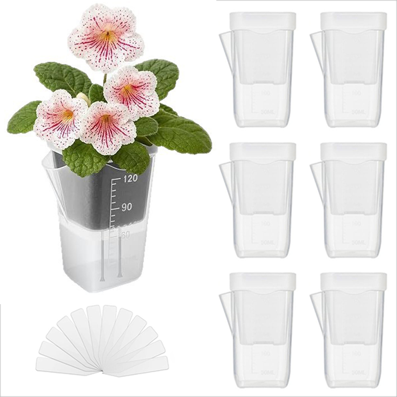 Pothos - 16/32 Pack Self-Watering Planters – Transparent