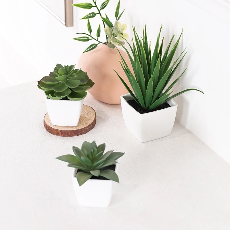 Succulent Set - 3PCS Artificial Evergreen Plant Bonsai, Suitable