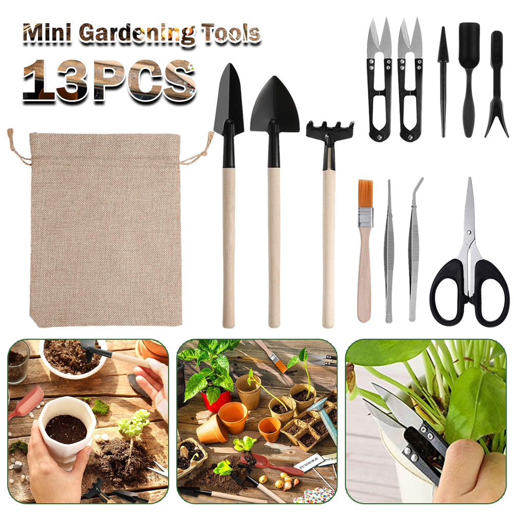 Succulent Set - Succulent Plants Tools Mini Garden Hand