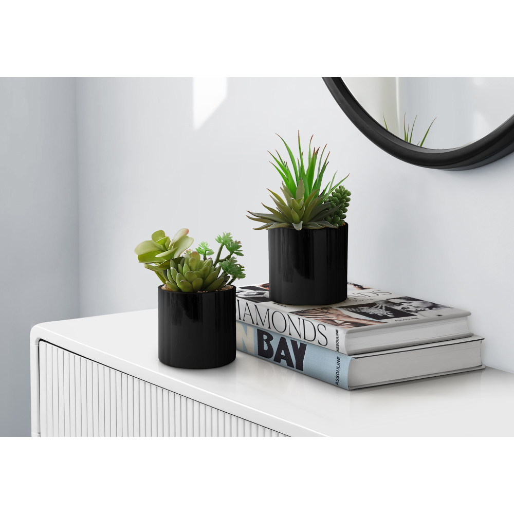 Set of 2 Artificial Succulents - đánh giá và giá Succulent Set