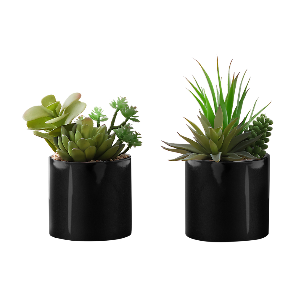Set of 2 Artificial Succulents - đánh giá và giá Succulent Set