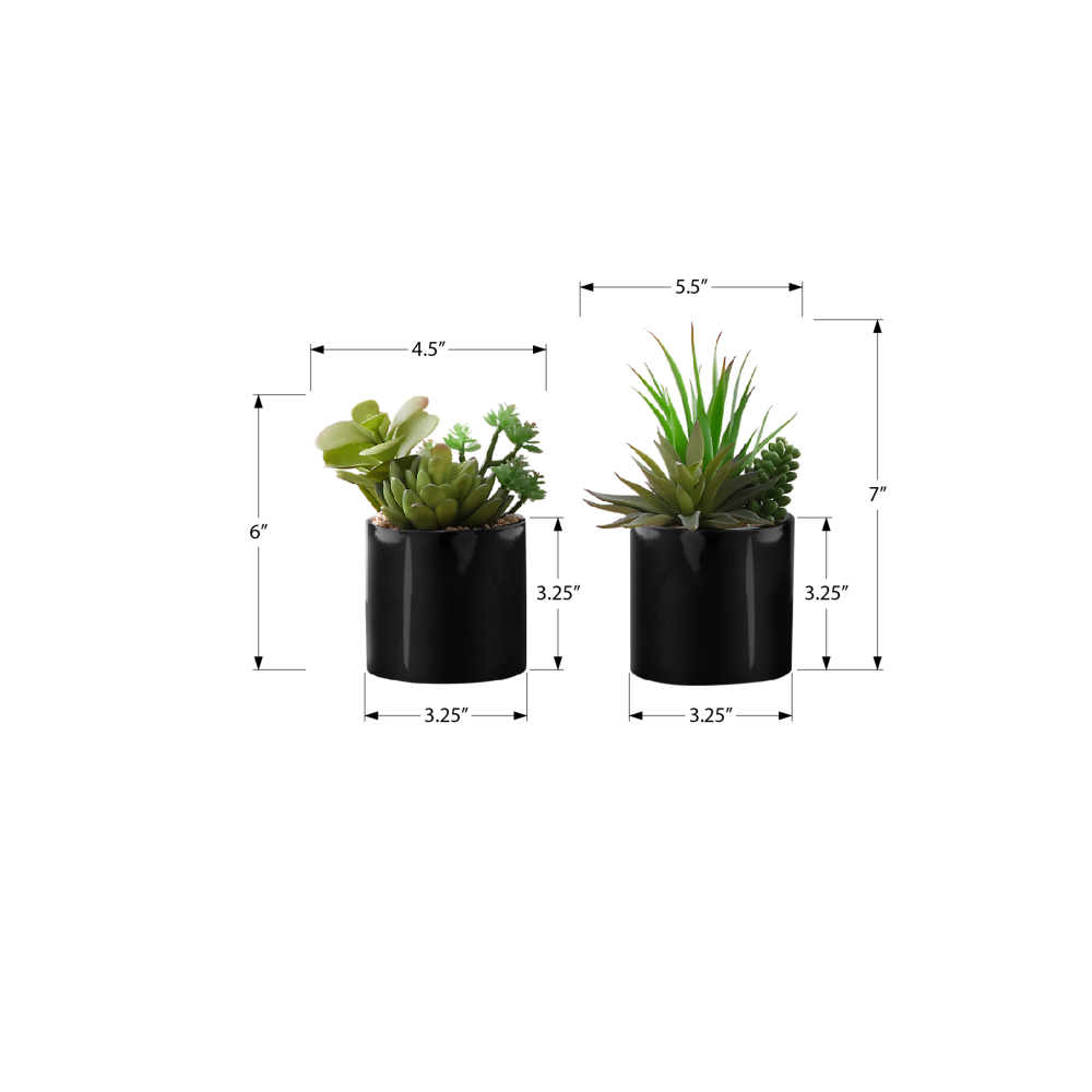 Set of 2 Artificial Succulents - đánh giá và giá Succulent Set