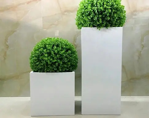 New Nordic Large Indoor Flower - đánh giá và giá Indoor Plants