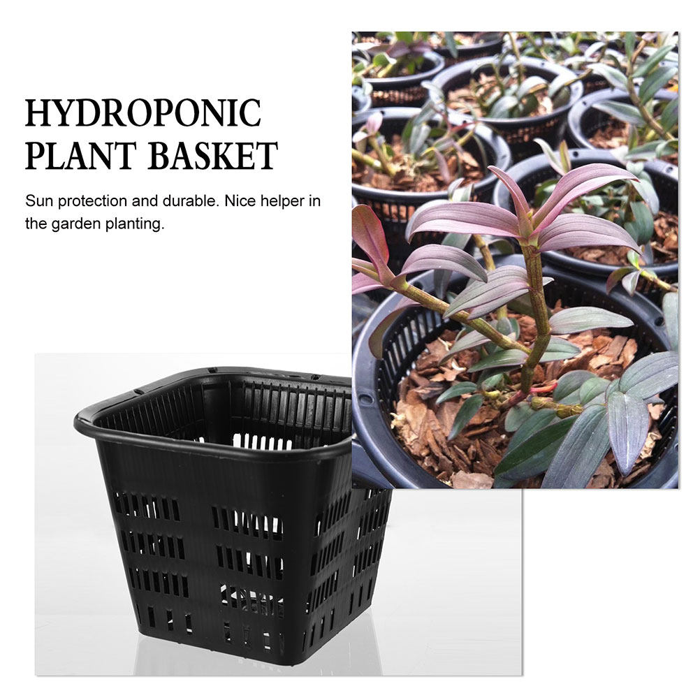 15 pcs Root Control Flowerpot  - đánh giá và giá Indoor Plants