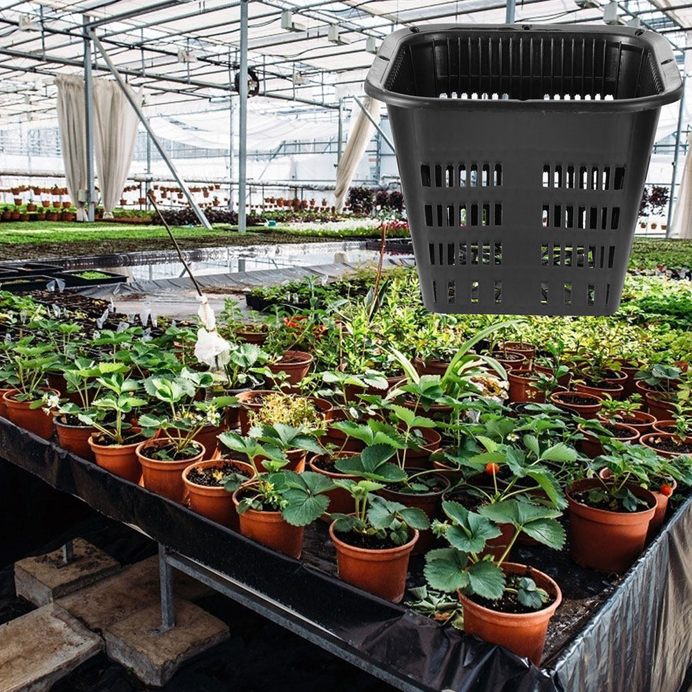 15 pcs Root Control Flowerpot  - đánh giá và giá Indoor Plants