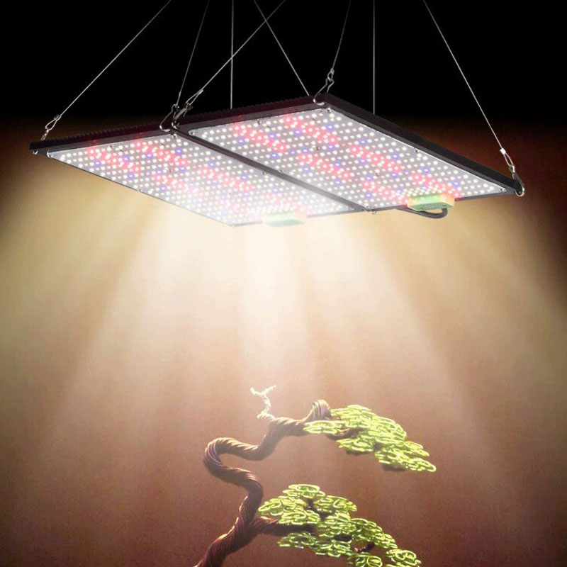 LED Quantum‑Board Grow Light F - đánh giá và giá Indoor Plants