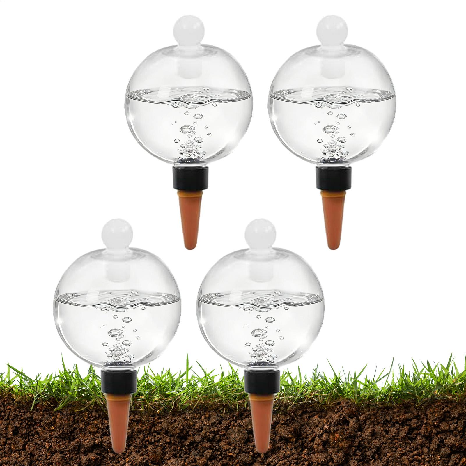 Plant Watering Bulbs 4pcs 500m - đánh giá và giá Pothos