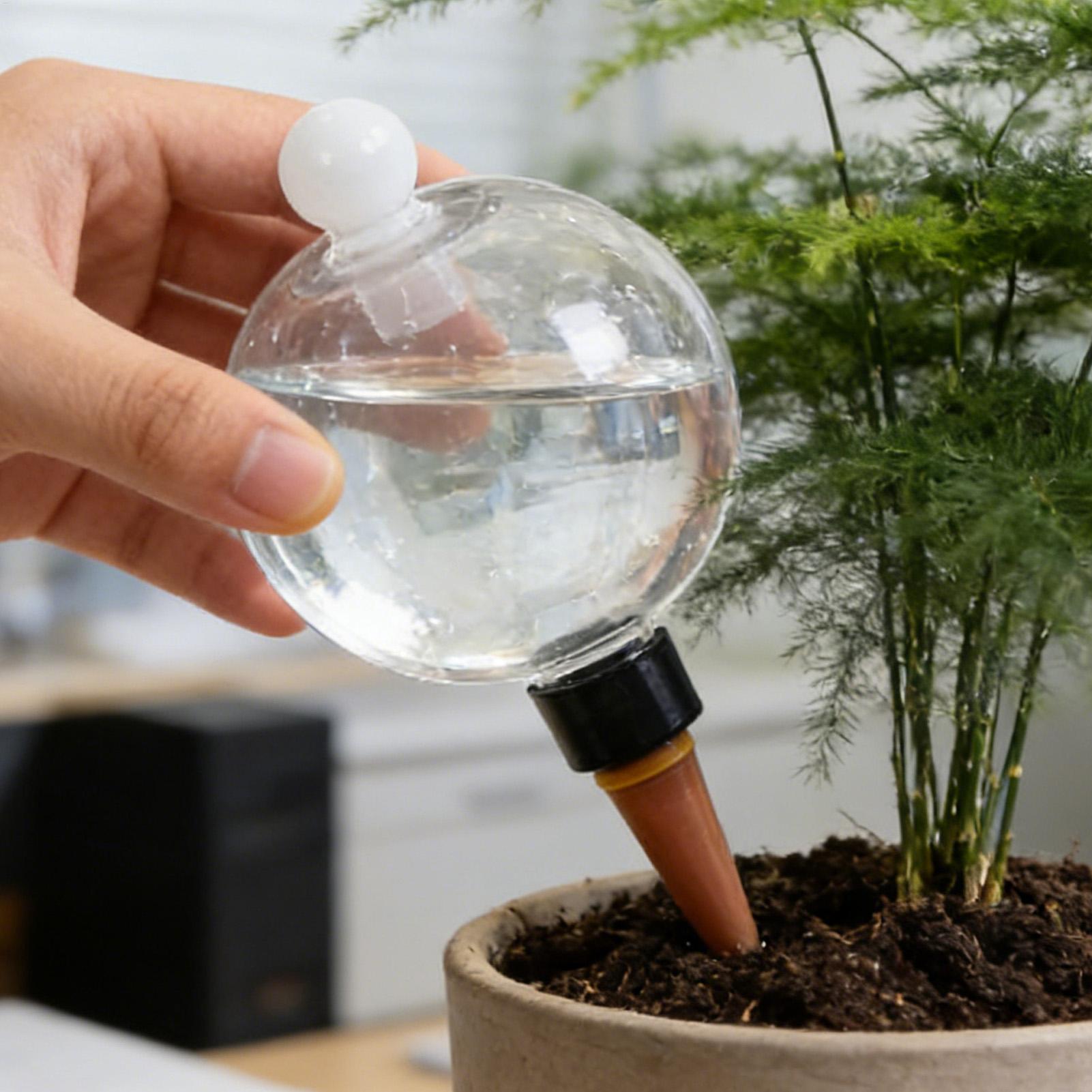 Plant Watering Bulbs 4pcs 500m - đánh giá và giá Pothos