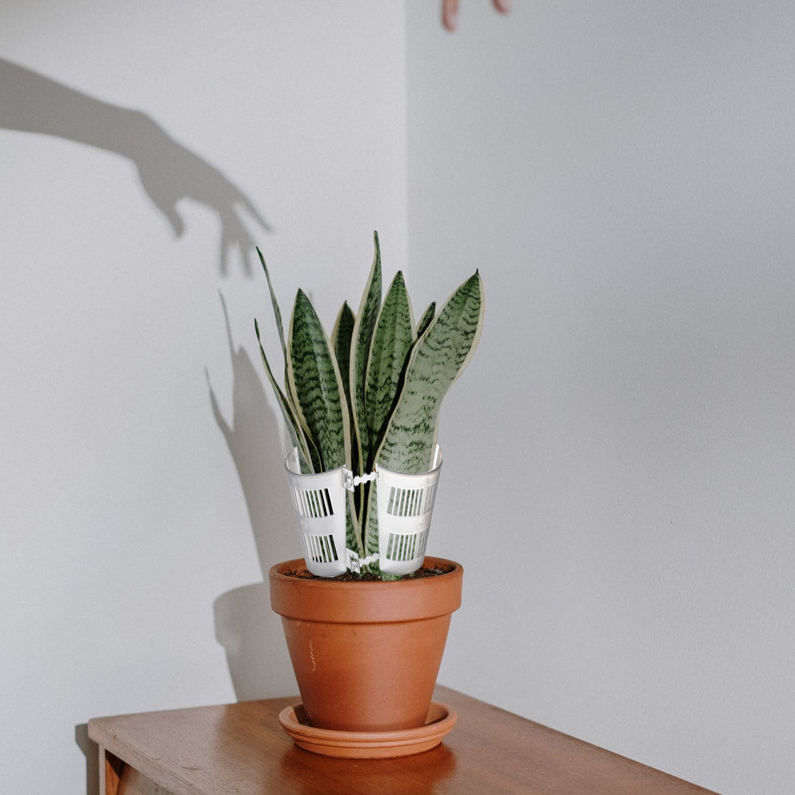 10Pcs Root Control Plant Pots  - đánh giá và giá Plant Pot