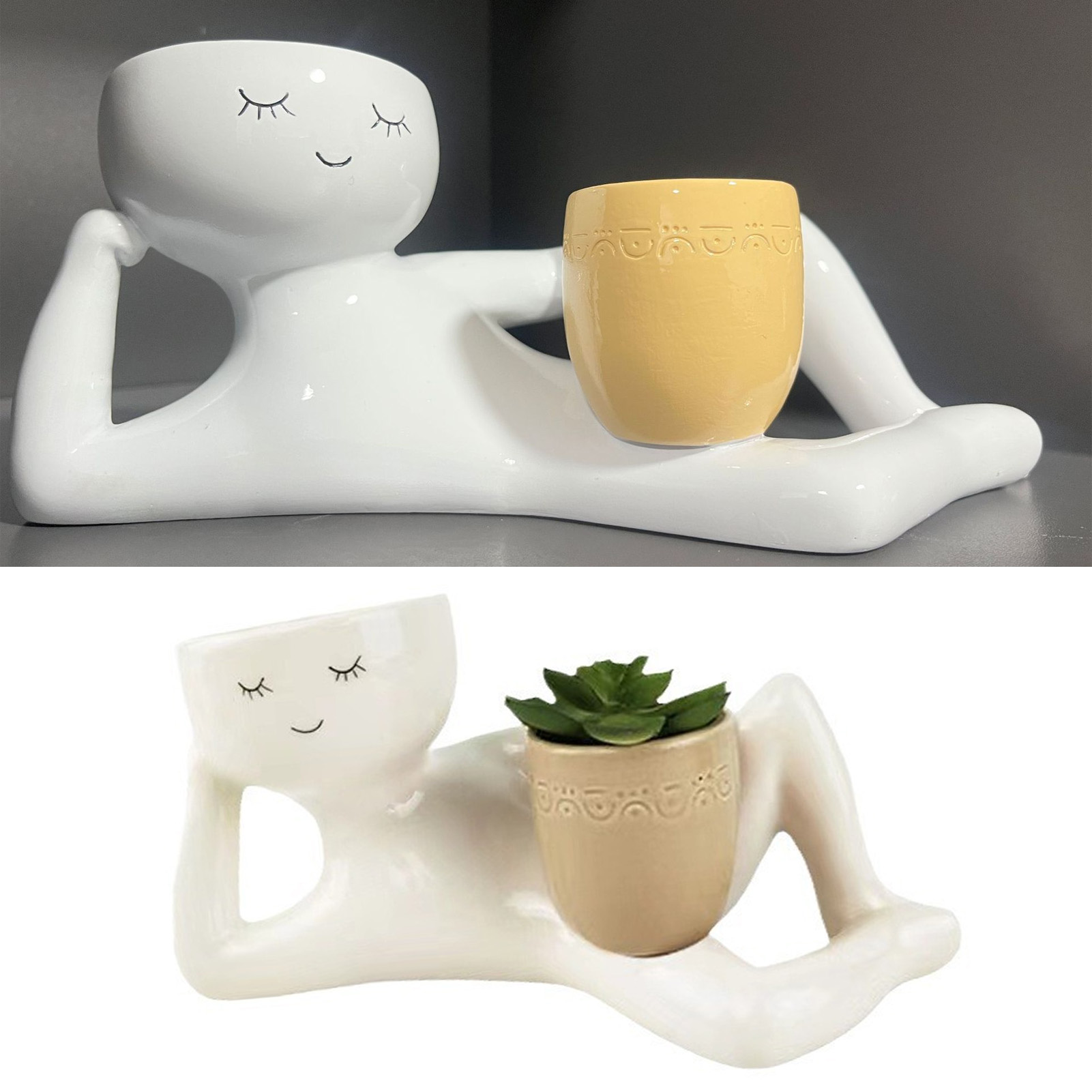 Succulent Pot Creative Breatha - đánh giá và giá Pothos