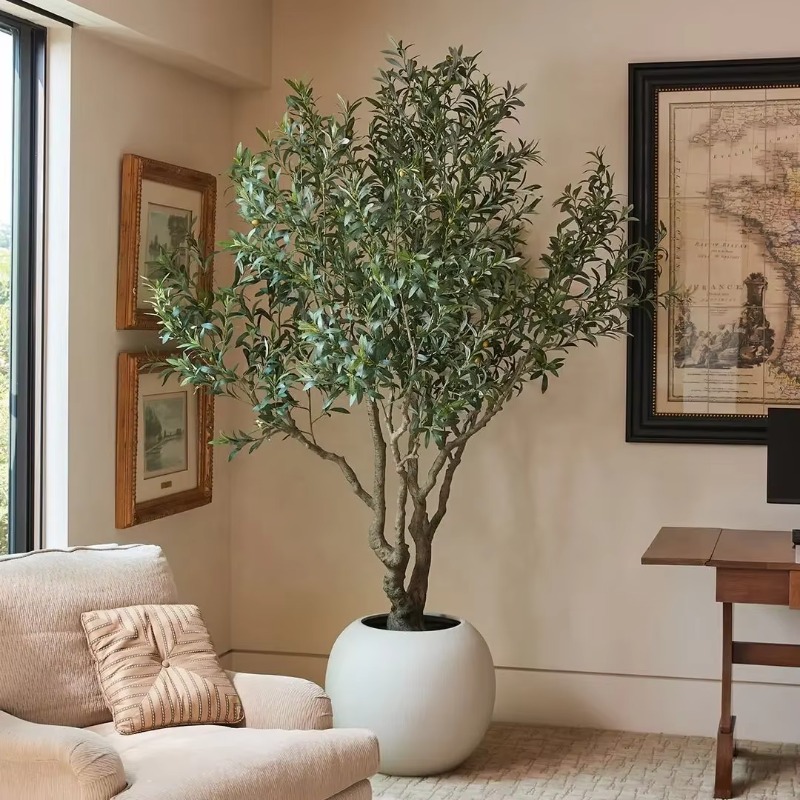 Customizable 90cm 120cm 150cm  - đánh giá và giá Indoor Plants