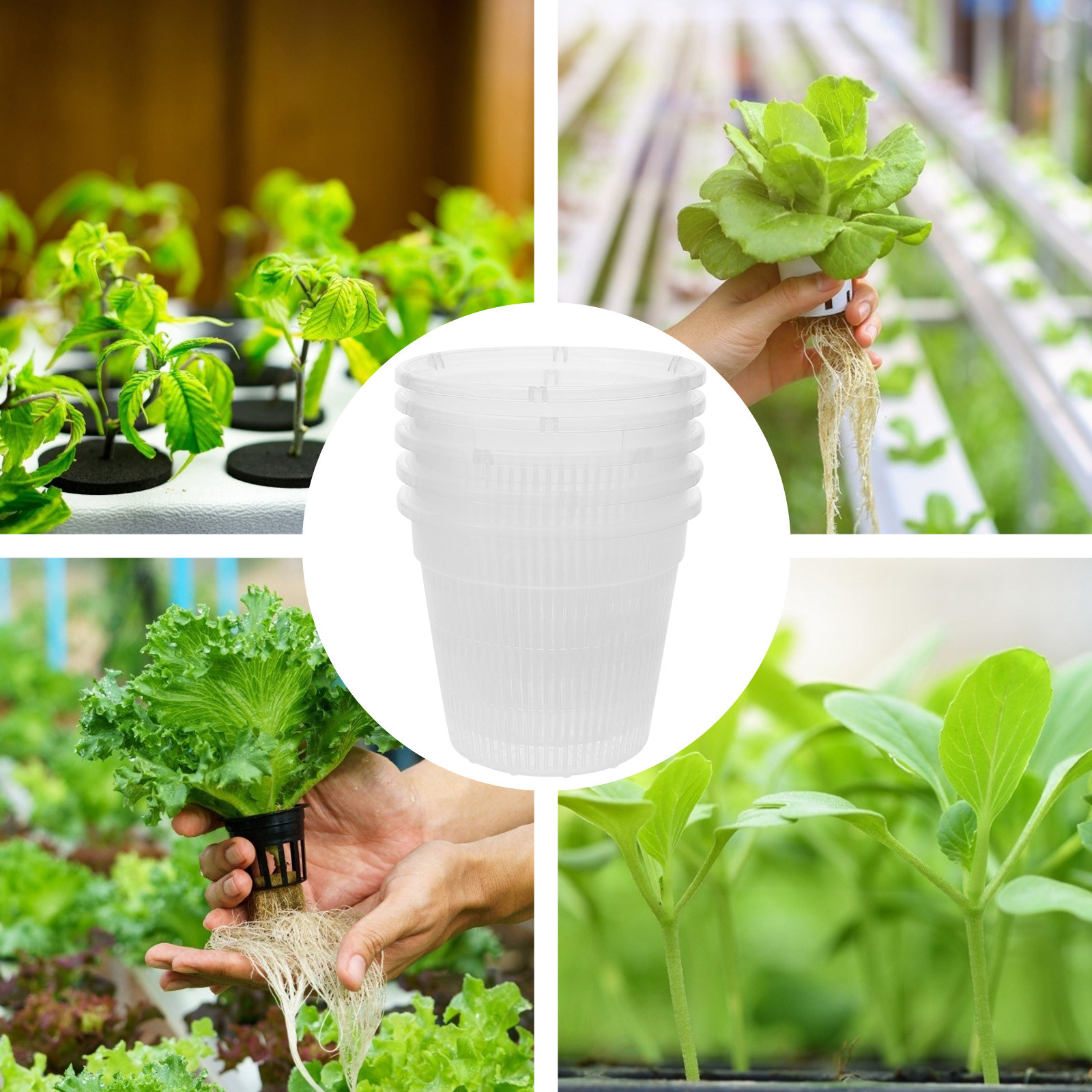 5Pcs Hydroponic Planting Net P - đánh giá và giá Indoor Plants