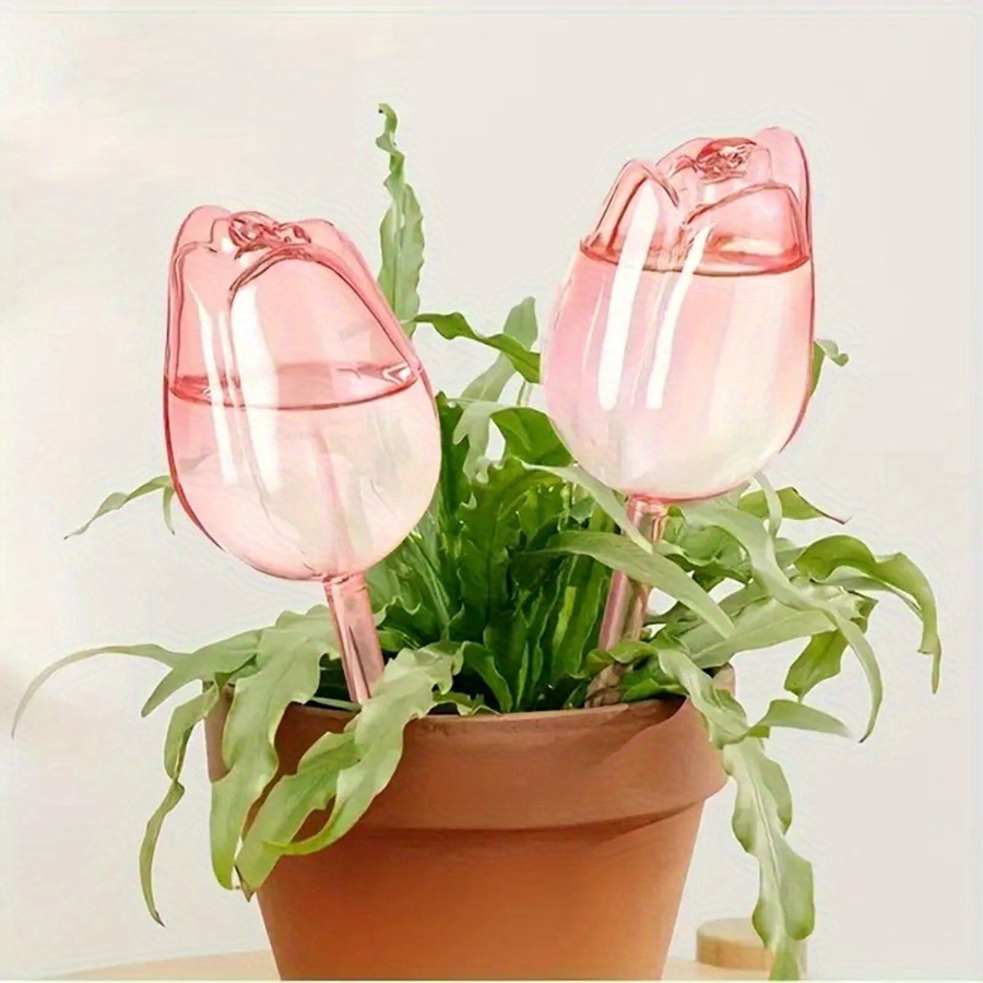 Transparent Thick PET Tulip Sh - đánh giá và giá Pothos
