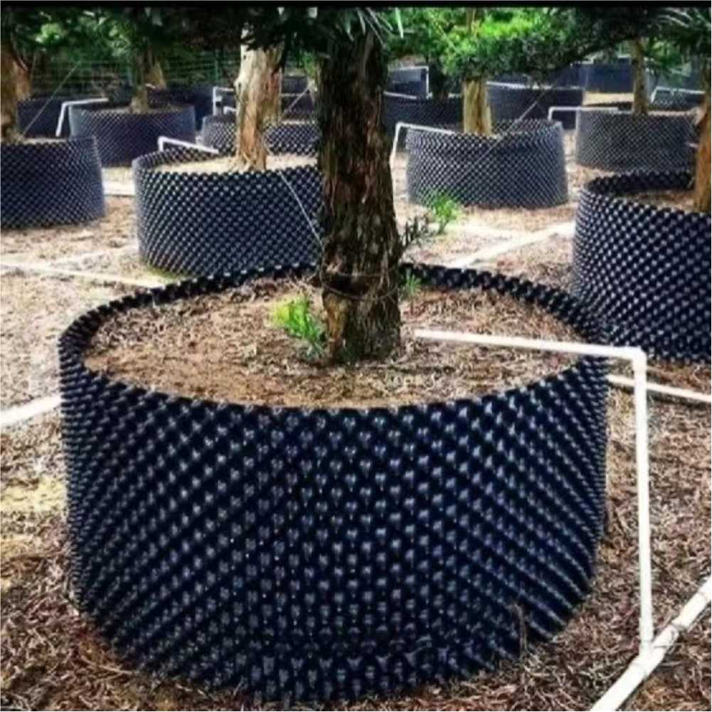 Grow Container Garden Tree Bon - đánh giá và giá Plant Pot