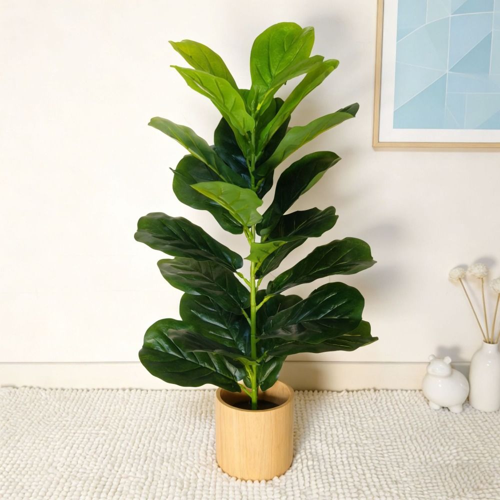 Green Plastic Artificial Ficus - đánh giá và giá Snake Plant