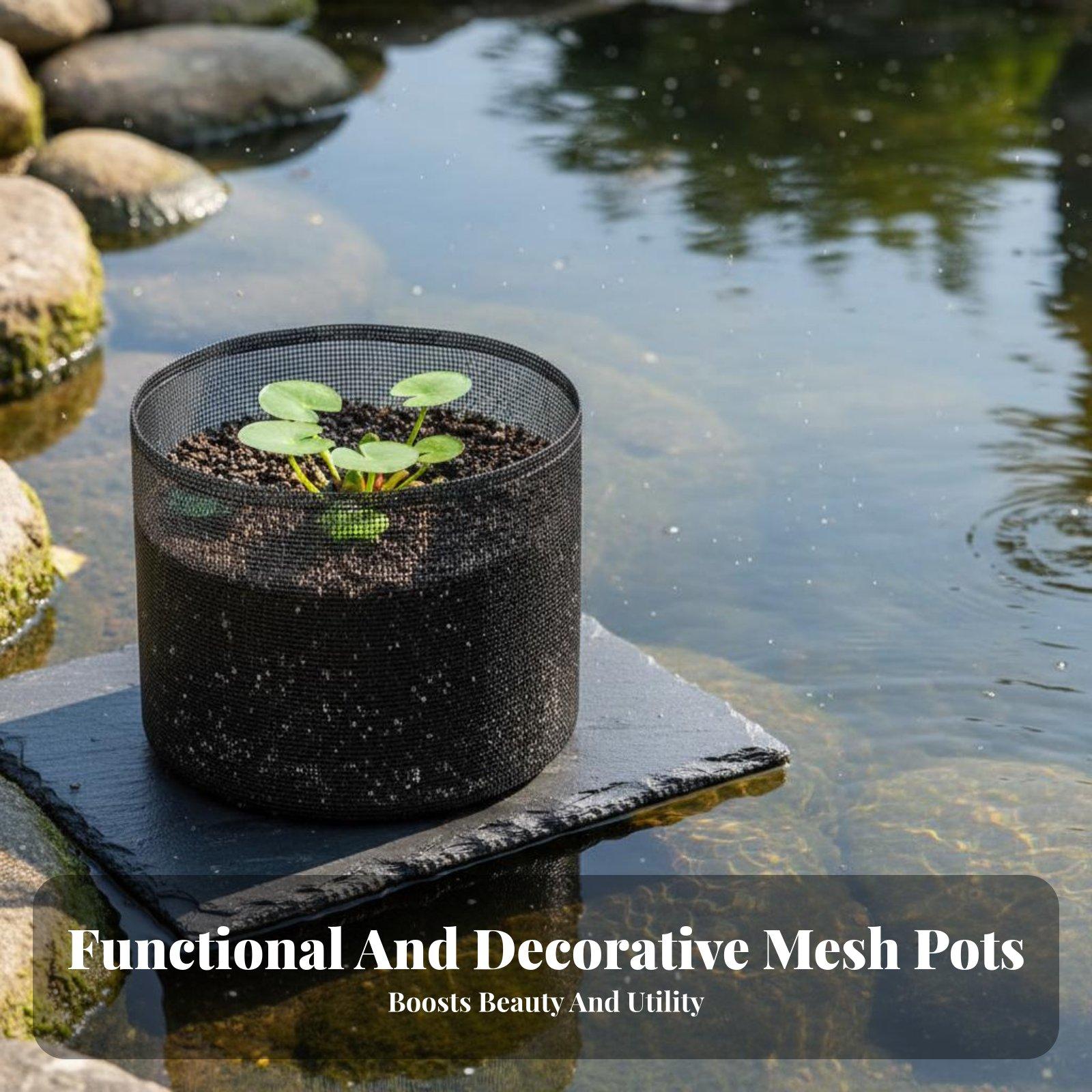 4 Piece Water Lily Planting Po - đánh giá và giá Plant Pot