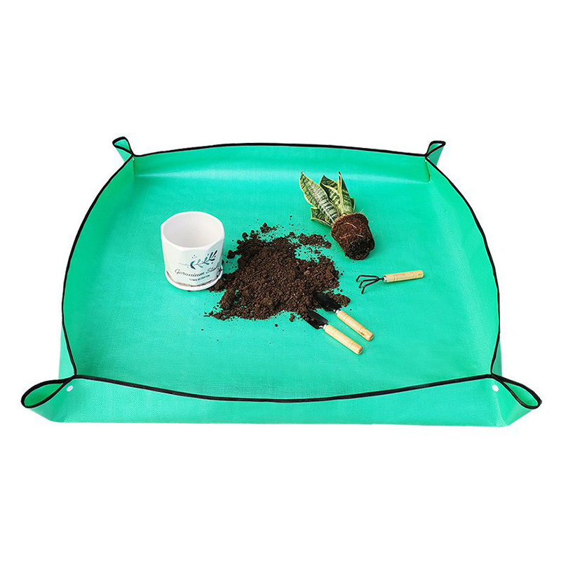 Plant Repotting Mat Waterproof - đánh giá và giá Pothos
