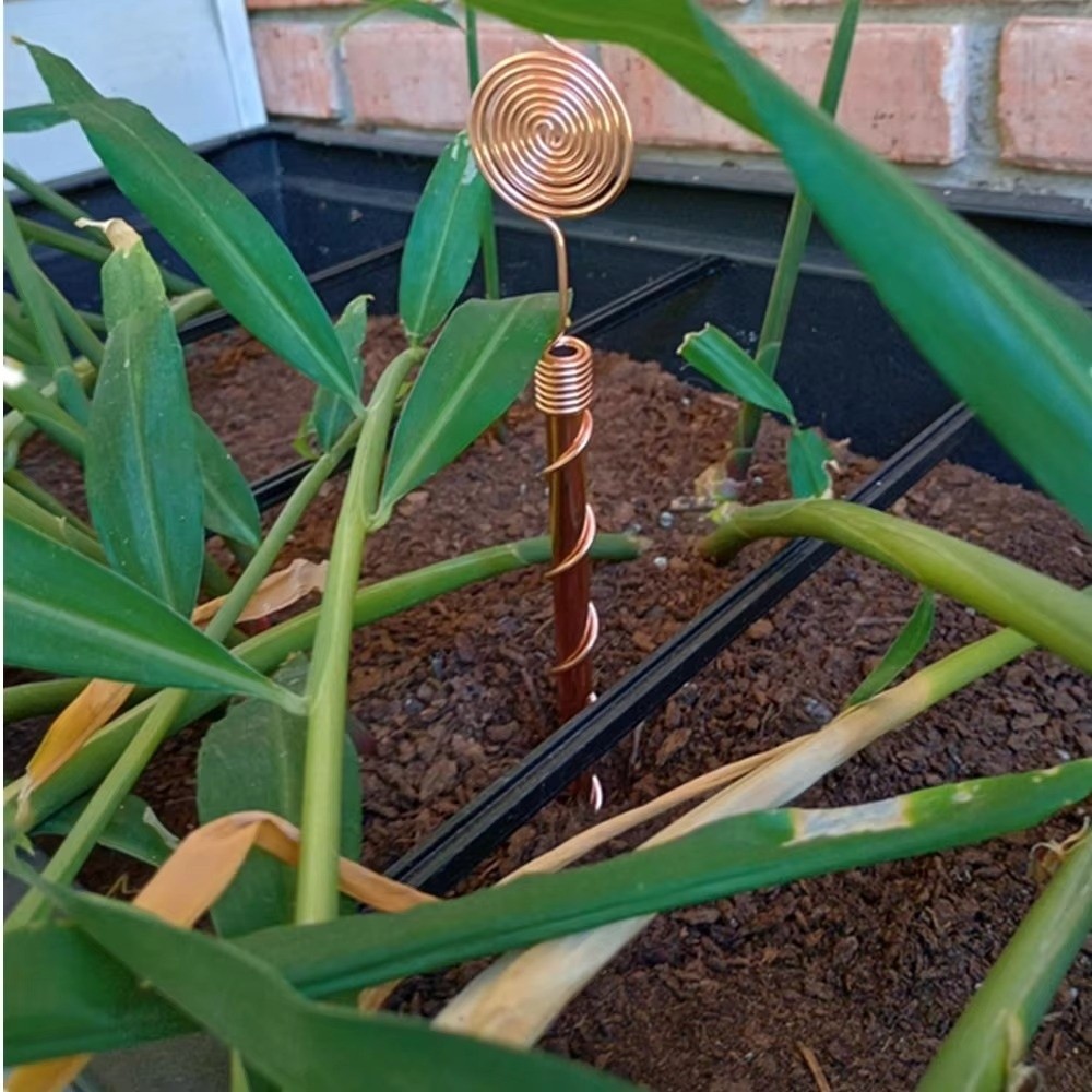 Spiral Coil Electroculture Pla - đánh giá và giá Plant Support Stake