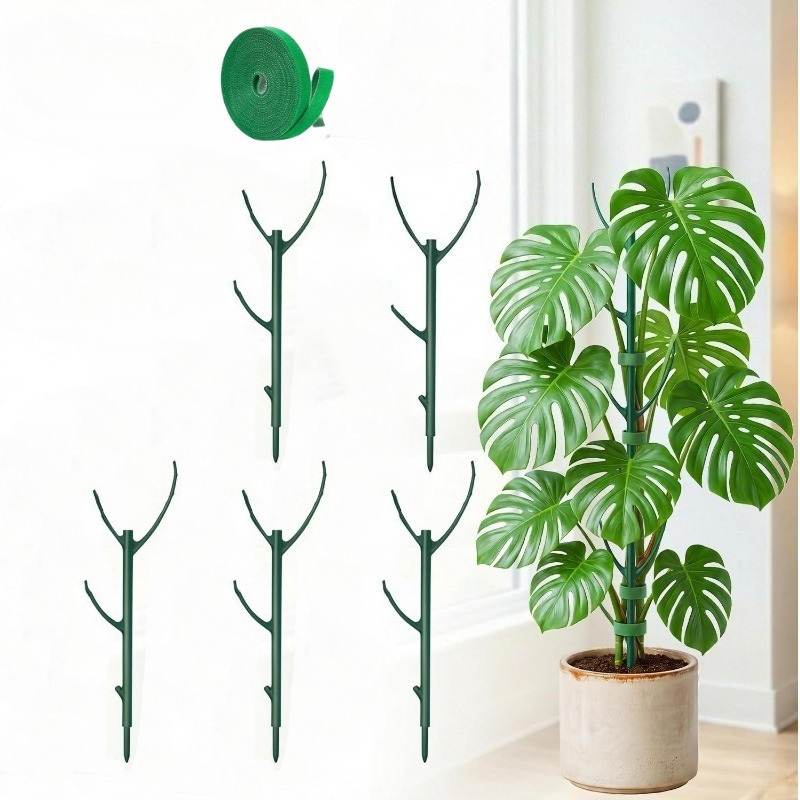 Monstera Plant Support Stakes  - đánh giá và giá Plant Support Stake