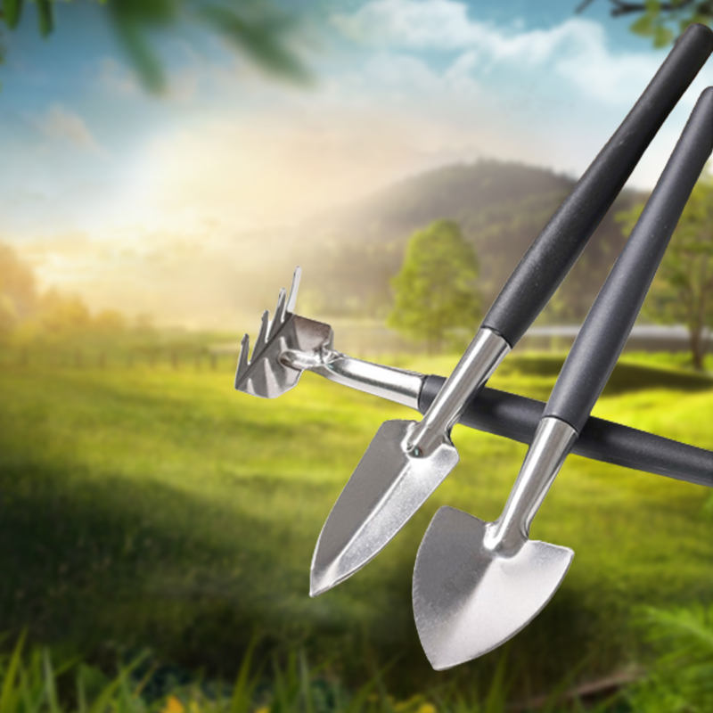 3pcs/set, Garden Tool Set Rake - đánh giá và giá Succulent Set