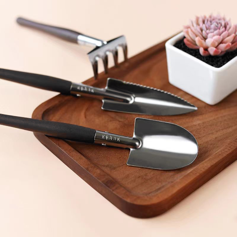 3pcs/set, Garden Tool Set Rake - đánh giá và giá Succulent Set