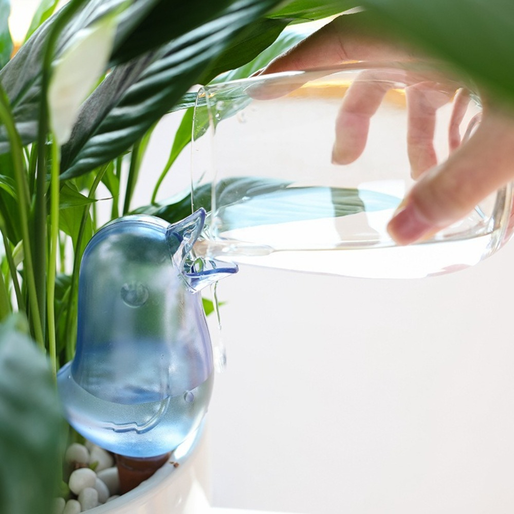 Bird Shape Plant Watering Devi - đánh giá và giá Pothos