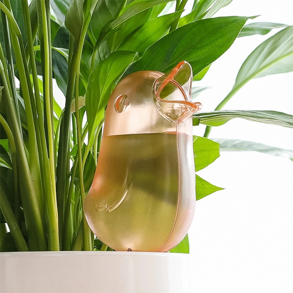 Bird Shape Plant Watering Devi - đánh giá và giá Pothos