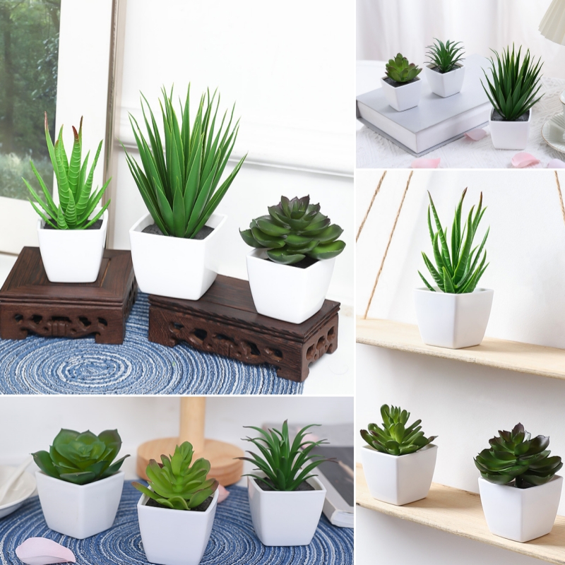 (A set of 3PCS) Simulated Mini - đánh giá và giá Succulent Set