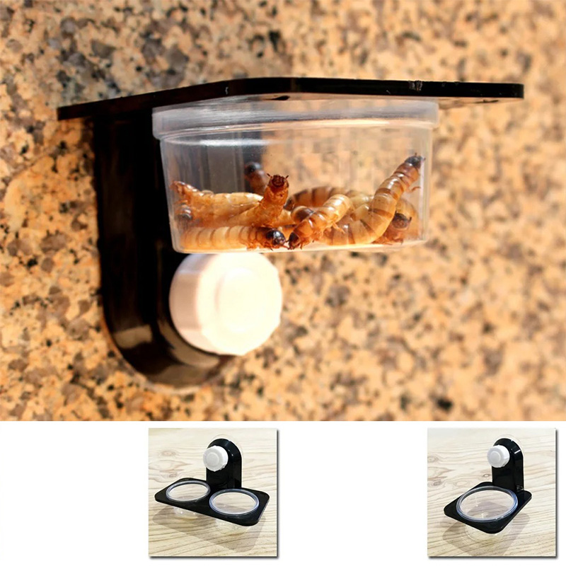 Reptile Tank Accessories Insec - đánh giá và giá Snake Plant