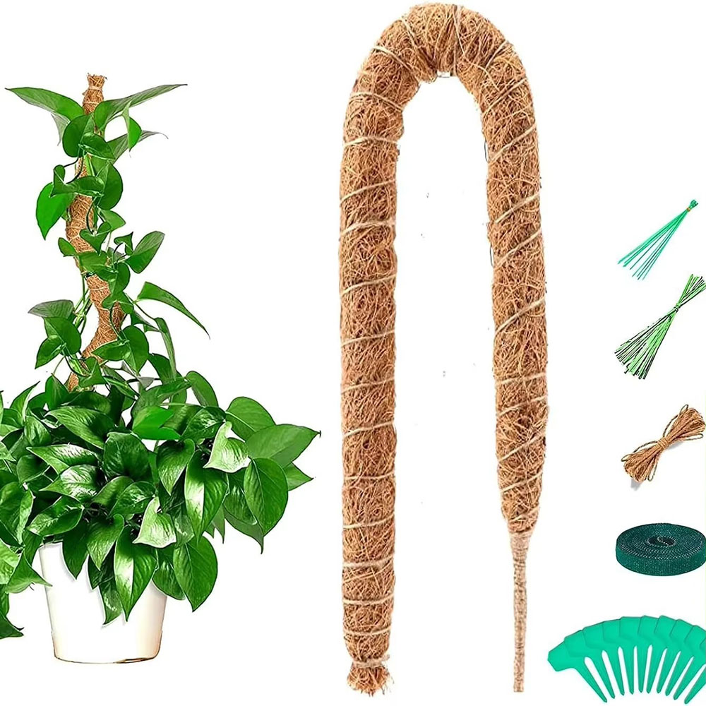 Horticultural Coconut Palm Sti - đánh giá và giá Pothos