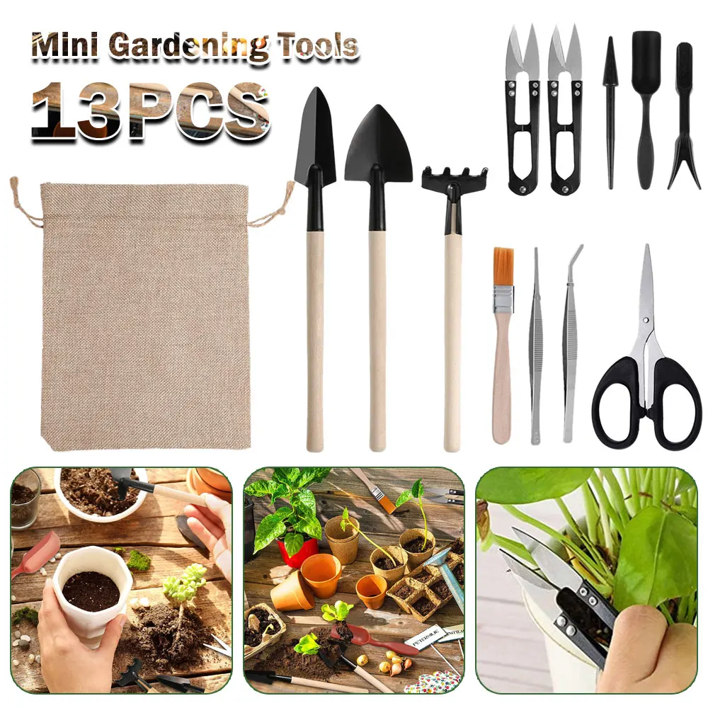 13PCS Succulent Plants Tool Se - đánh giá và giá Succulent Set