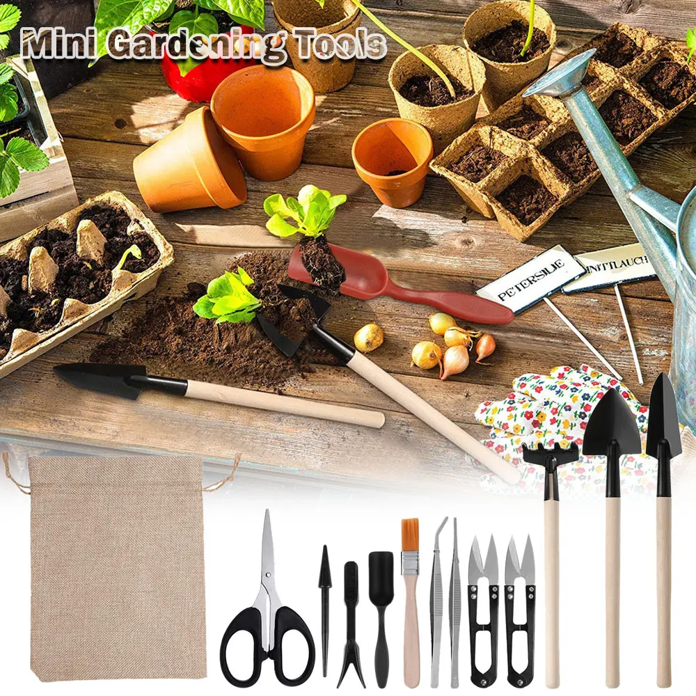 13PCS Succulent Plants Tool Se - đánh giá và giá Succulent Set