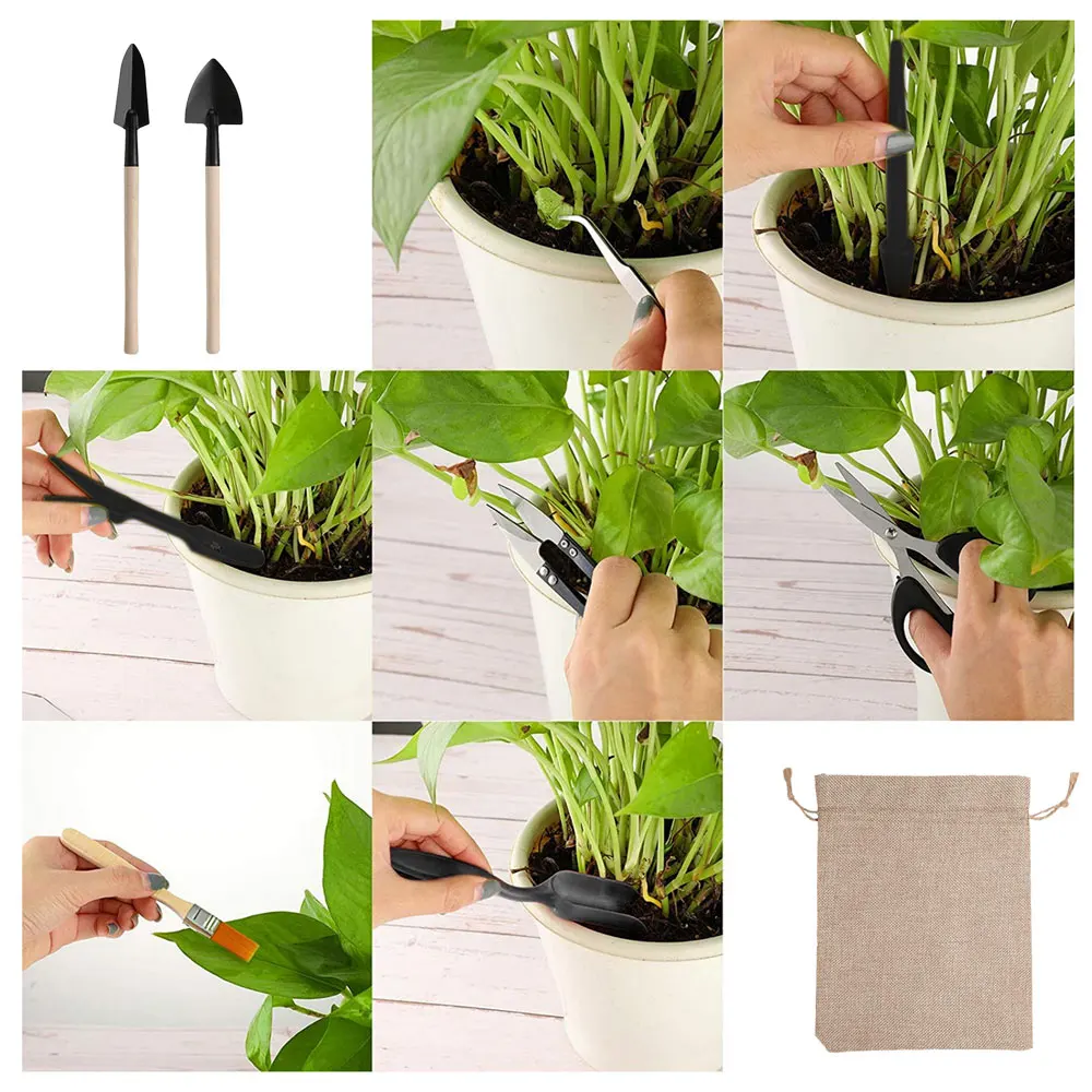 13PCS Succulent Plants Tool Se - đánh giá và giá Succulent Set