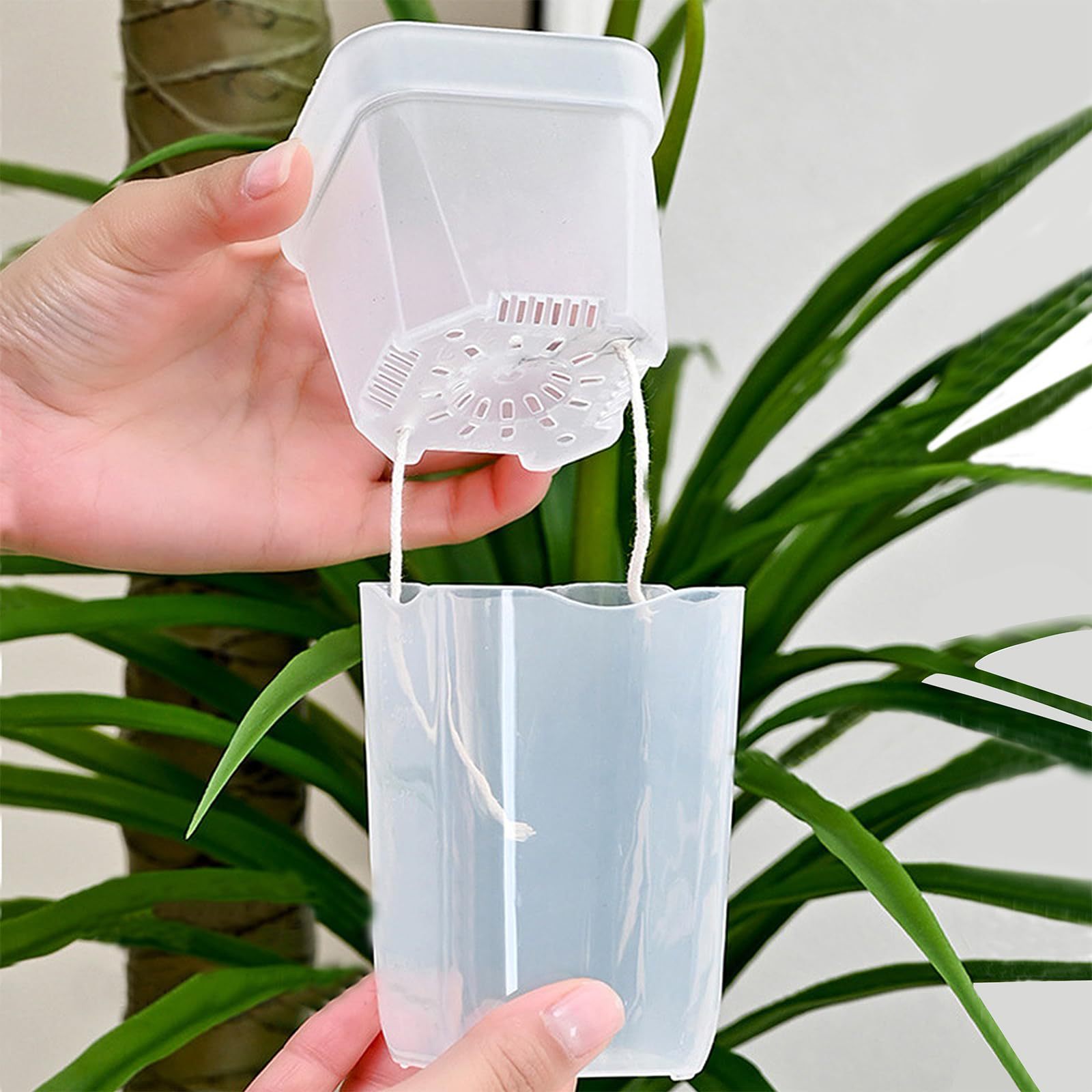 16/32 Pack Self-Watering Plant - đánh giá và giá Pothos