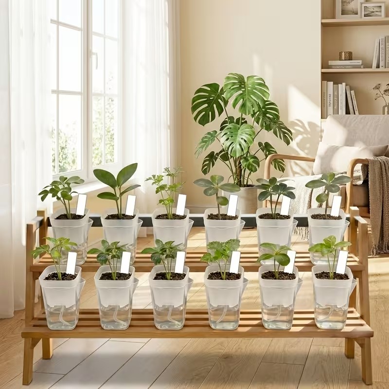 16/32 Pack Self-Watering Plant - đánh giá và giá Pothos