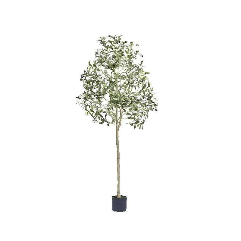 SucceBuy Artificial Olive Tree - đánh giá và giá Snake Plant