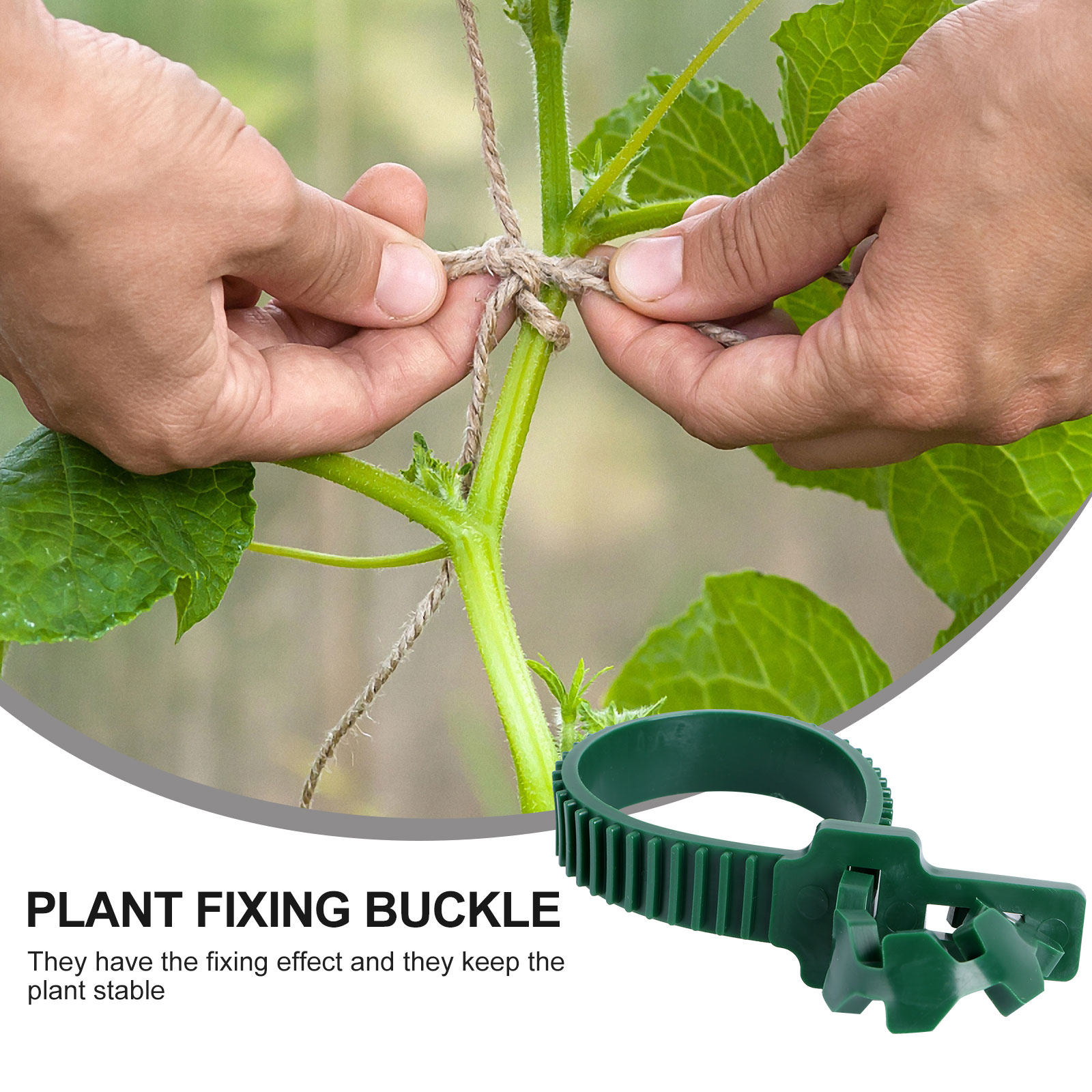 20Pcs Vine Fixing Buckle Garde - đánh giá và giá Plant Support Stake