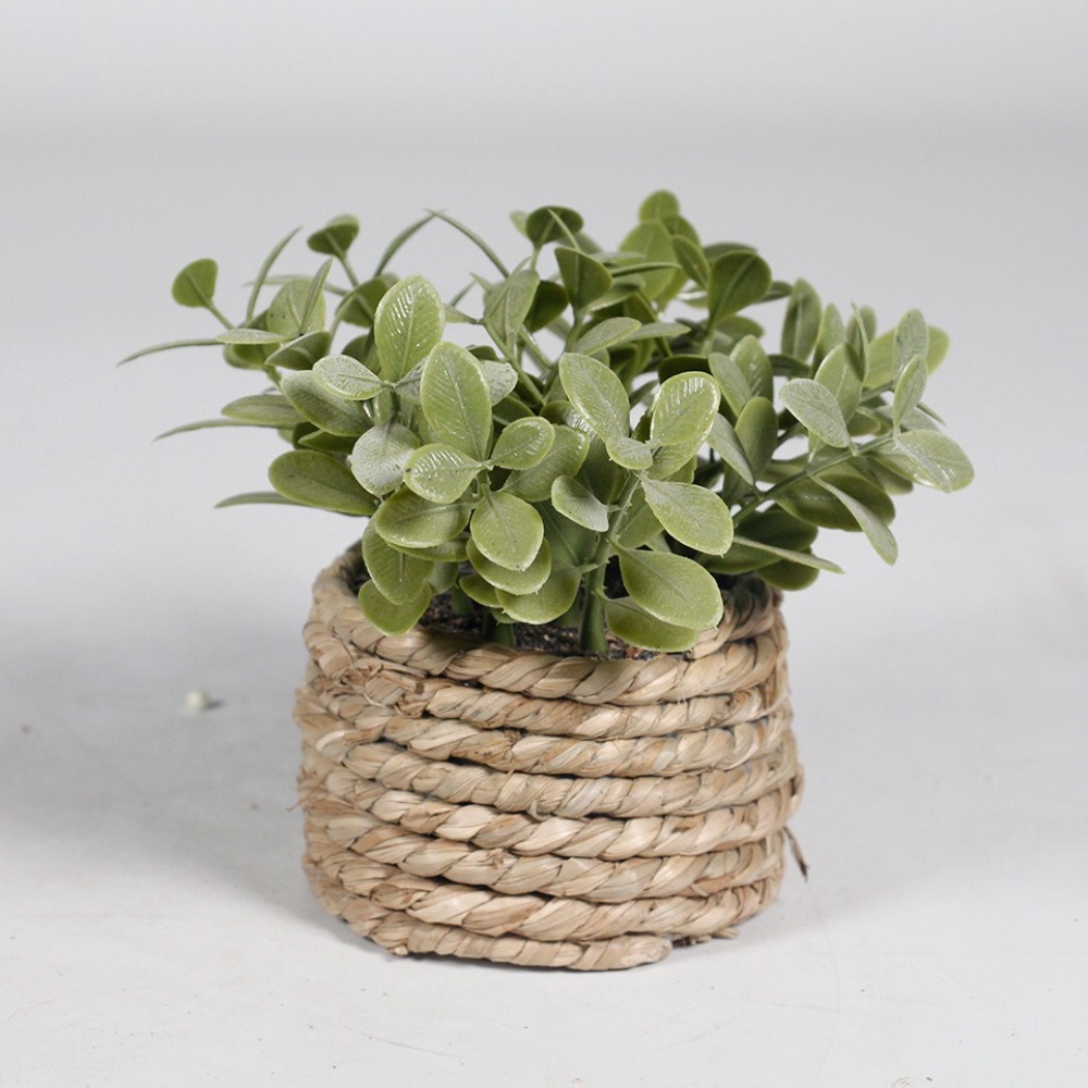 Green Artificial Potted Plant  - đánh giá và giá Succulent Set