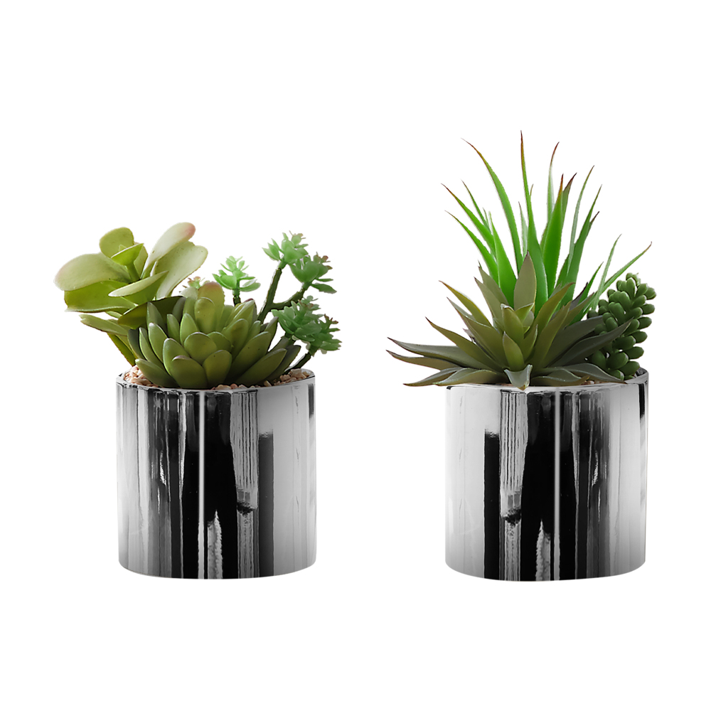 Set of 2 Artificial Succulents - đánh giá và giá Succulent Set