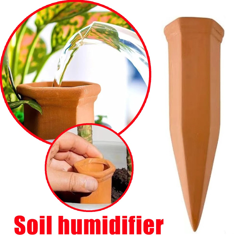 Terracotta Automatic Watering  - đánh giá và giá Pothos