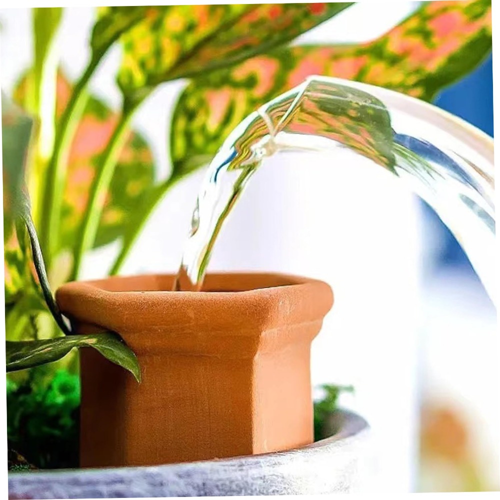 Terracotta Automatic Watering  - đánh giá và giá Pothos