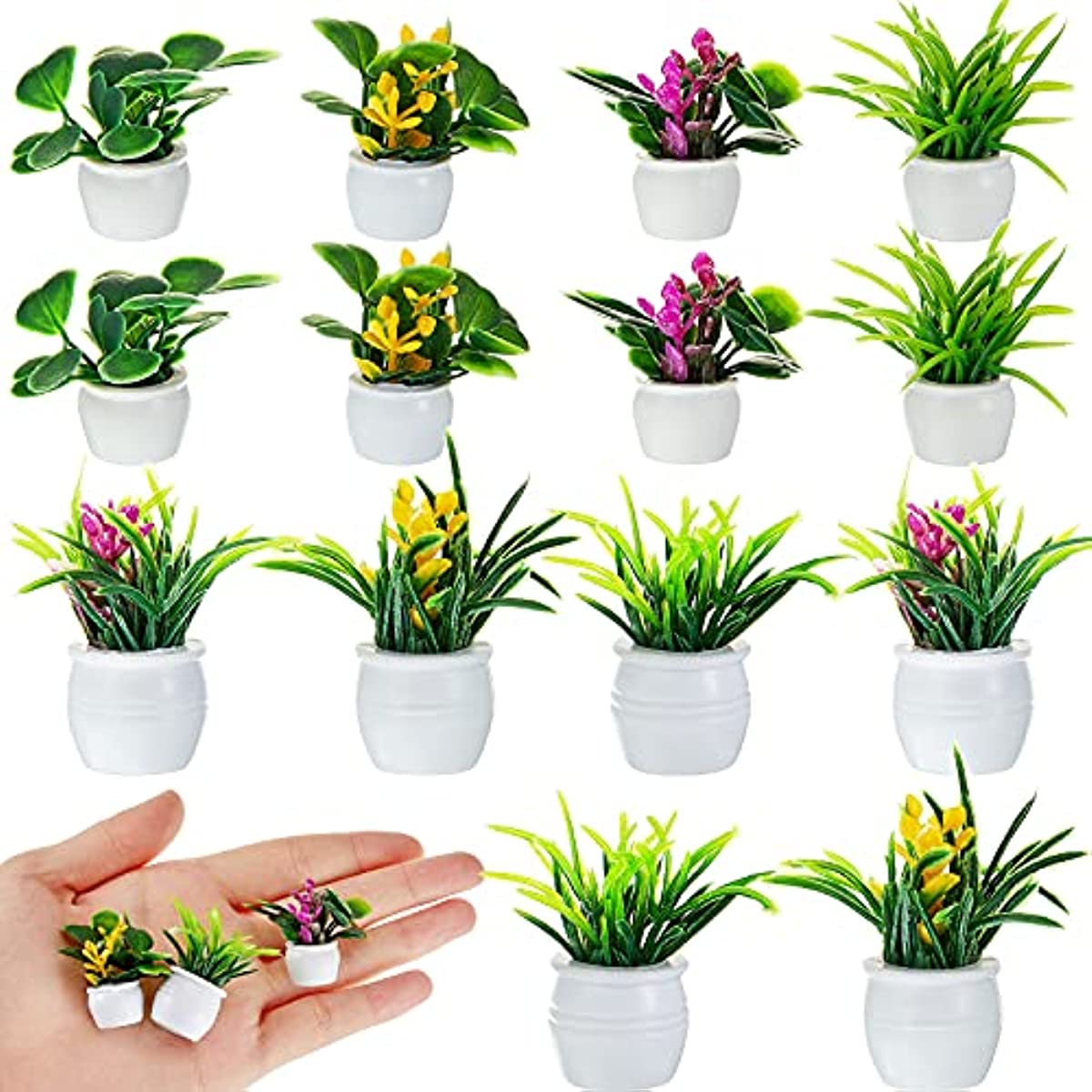 Dollhouse Plant, Miniature Bon - đánh giá và giá Terracotta Pot