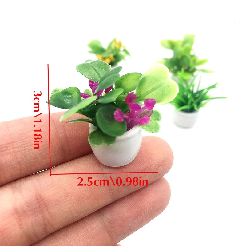 Dollhouse Plant, Miniature Bon - đánh giá và giá Terracotta Pot