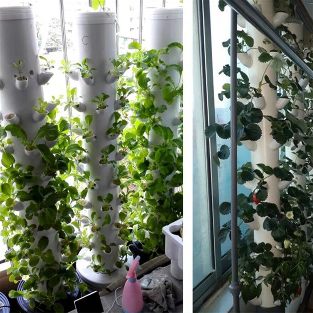 Hydroponic Vertical Tower Cont - đánh giá và giá Plant Pot