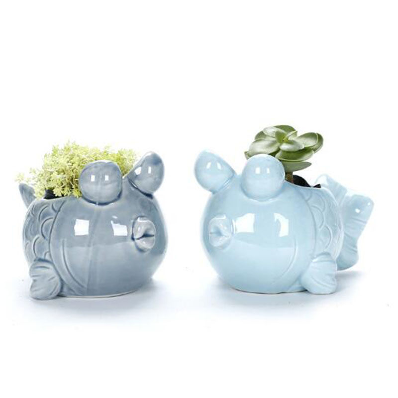 European Style Cute Fleshy Flo - đánh giá và giá Snake Plant Ceramic