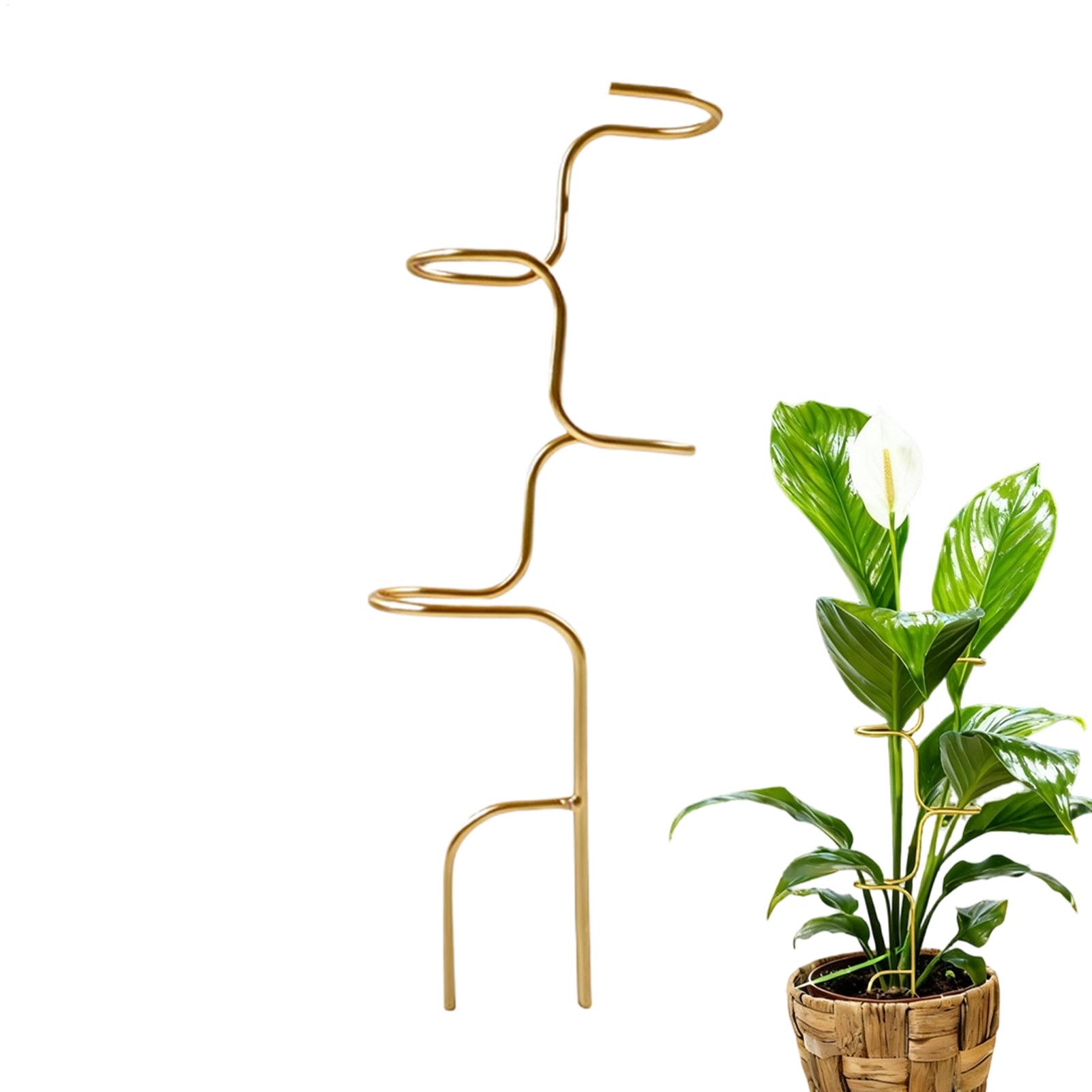 Garden Plant stem fixing suppo - đánh giá và giá Plant Support Stake
