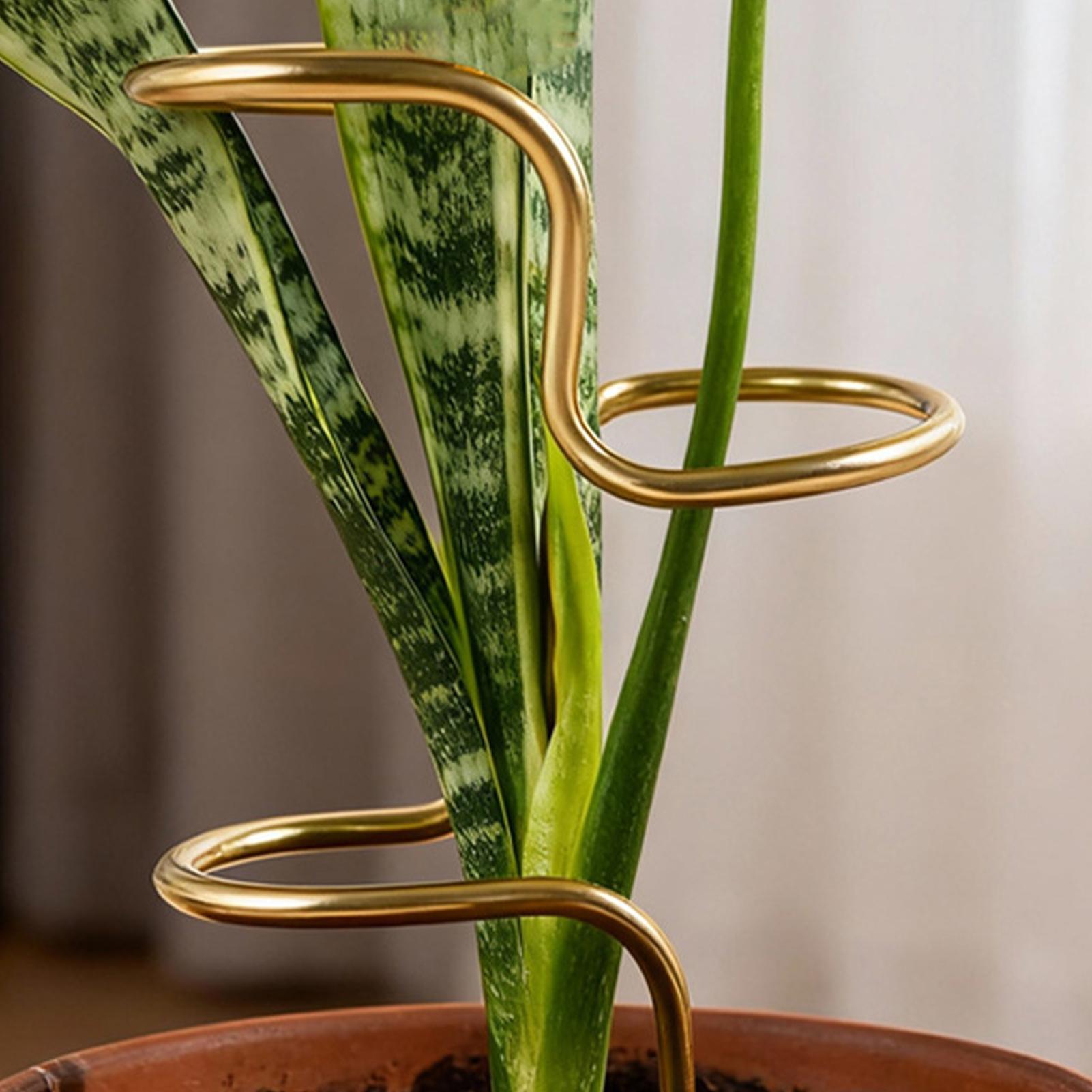 Garden Plant stem fixing suppo - đánh giá và giá Plant Support Stake