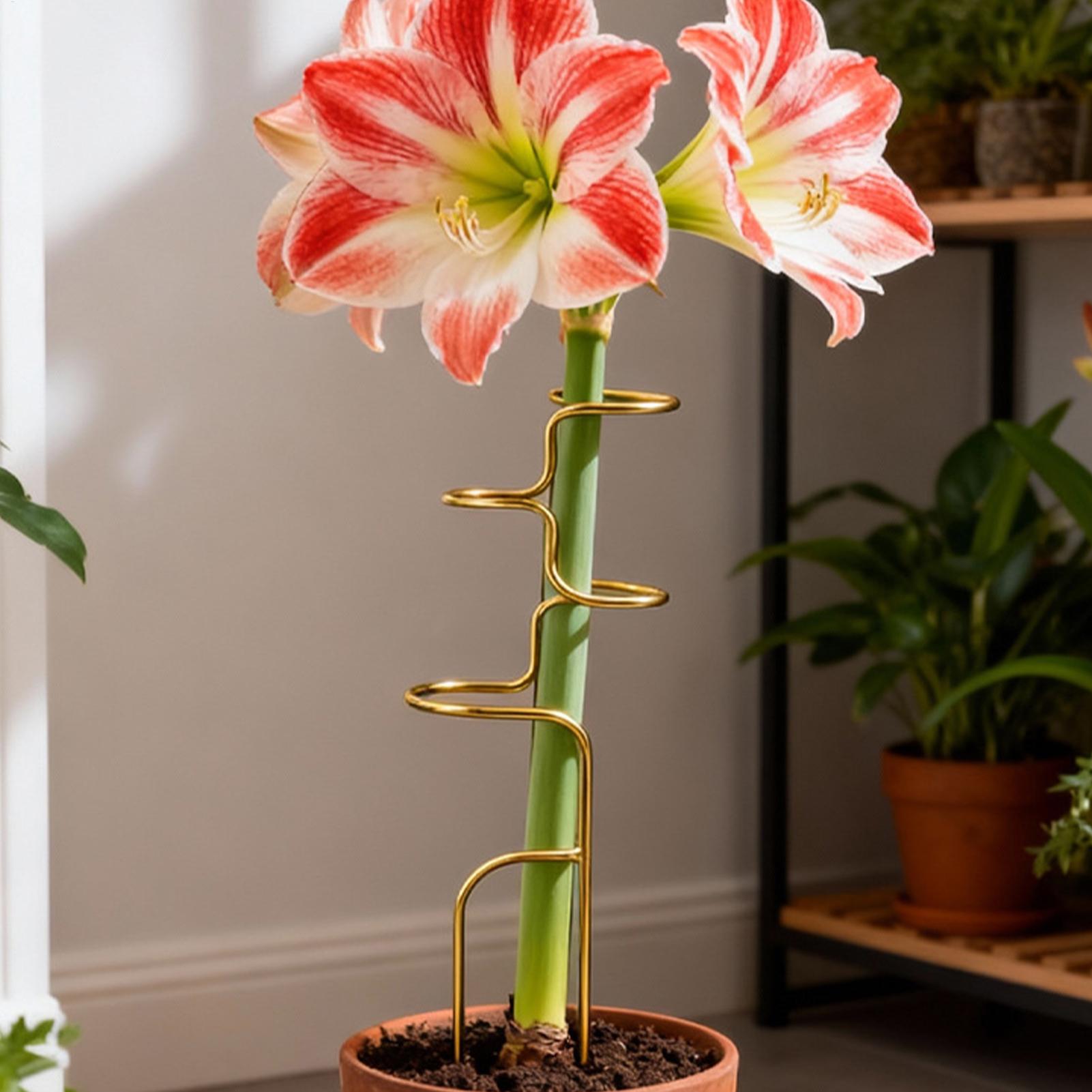 Garden Plant stem fixing suppo - đánh giá và giá Plant Support Stake