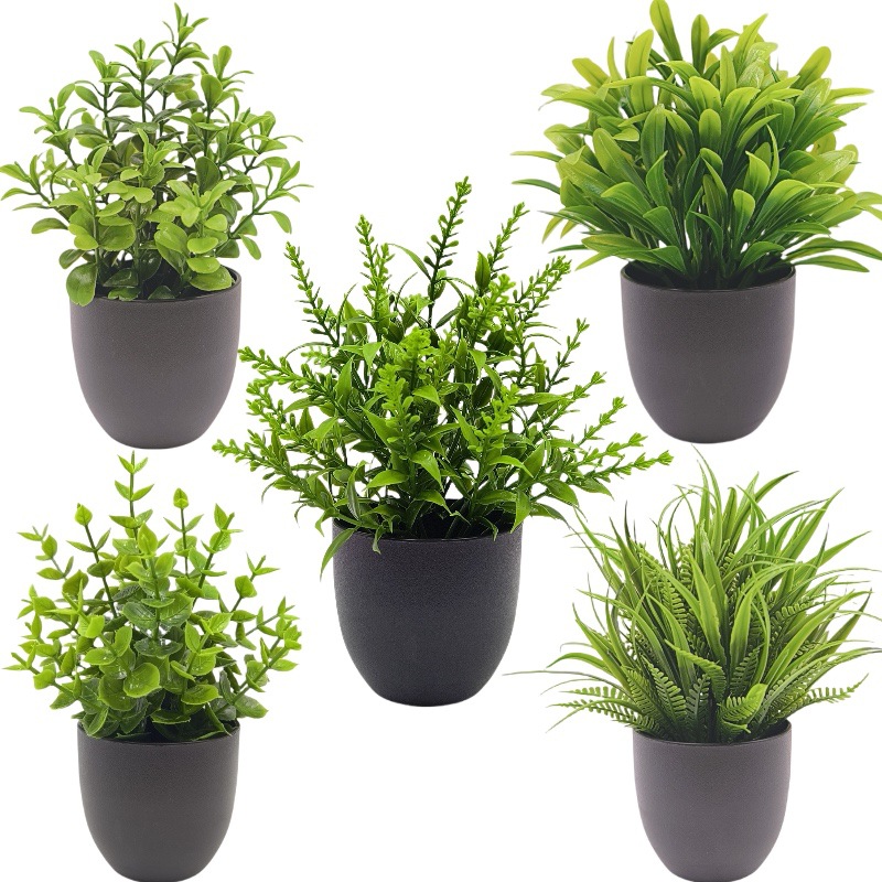 Simulation Green Plant Bonsai  - đánh giá và giá Succulent Set